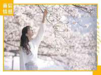 芜湖湖曲电子商务有限公司