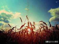 芜湖湖曲电子商务有限公司