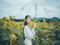 芜湖湖曲电子商务有限公司