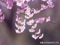 芜湖湖曲电子商务有限公司