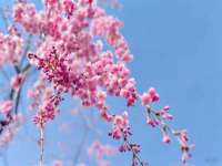 芜湖湖曲电子商务有限公司