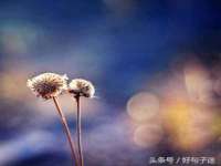 芜湖湖曲电子商务有限公司