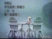 芜湖湖曲电子商务有限公司