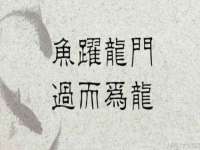 芜湖湖曲电子商务有限公司