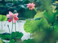 芜湖湖曲电子商务有限公司
