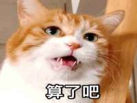 芜湖湖曲电子商务有限公司