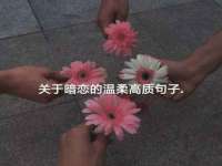 芜湖湖曲电子商务有限公司