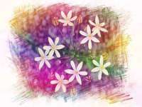 芜湖湖曲电子商务有限公司