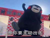 芜湖湖曲电子商务有限公司