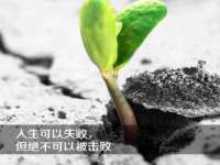 芜湖湖曲电子商务有限公司