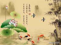 芜湖湖曲电子商务有限公司