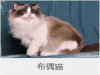 芜湖湖曲电子商务有限公司