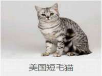 芜湖湖曲电子商务有限公司