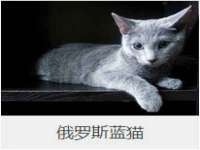 芜湖湖曲电子商务有限公司
