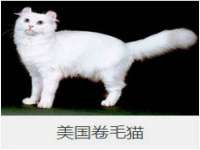 芜湖湖曲电子商务有限公司