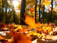 芜湖湖曲电子商务有限公司