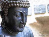 芜湖湖曲电子商务有限公司