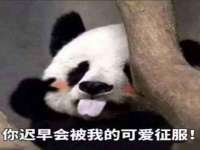 芜湖湖曲电子商务有限公司