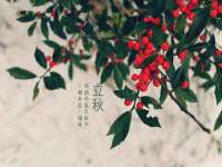 芜湖湖曲电子商务有限公司