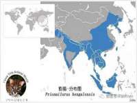 芜湖湖曲电子商务有限公司
