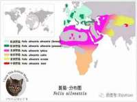 芜湖湖曲电子商务有限公司