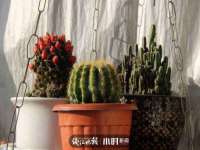 芜湖湖曲电子商务有限公司