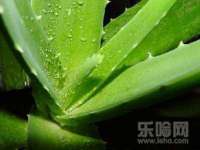 芜湖湖曲电子商务有限公司
