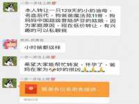 芜湖湖曲电子商务有限公司