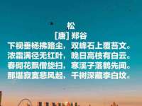芜湖湖曲电子商务有限公司