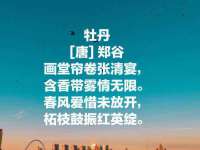 芜湖湖曲电子商务有限公司