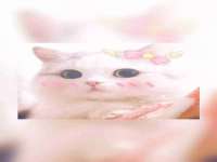 芜湖湖曲电子商务有限公司