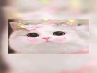 芜湖湖曲电子商务有限公司