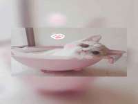 芜湖湖曲电子商务有限公司