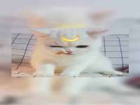 芜湖湖曲电子商务有限公司