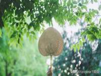 芜湖湖曲电子商务有限公司