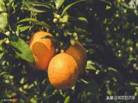芜湖湖曲电子商务有限公司
