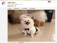 芜湖湖曲电子商务有限公司