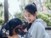 芜湖湖曲电子商务有限公司