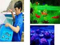 芜湖湖曲电子商务有限公司