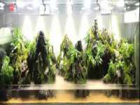 芜湖湖曲电子商务有限公司
