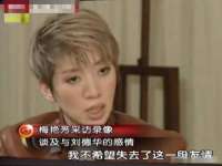 芜湖湖曲电子商务有限公司