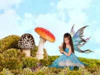 芜湖湖曲电子商务有限公司