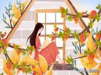 芜湖湖曲电子商务有限公司