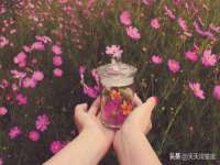 芜湖湖曲电子商务有限公司