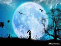 芜湖湖曲电子商务有限公司