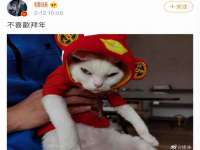 芜湖湖曲电子商务有限公司